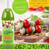 Alma Gourmet x Brivio Italian Dressing Sauce - Ready To Use Pesto, Bruschetta and Hot Calabria Bruschetta Topping Sauce With Concentrated Grape Must - Ideal To Top Bruschetta, Salads, Sandwiches, Pizza, Meat and Fish - 10.6oz (300g) Each - Combo of 3 view 3