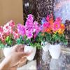 Artificial Bonsai Rose Flowers (Set of 4 Piece)(IndoorPlants)(Artificial Bonsai), Artificial Bonsai view 3