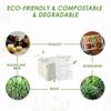 100 Pack - 100% Non Plastics 5 Compartment Paper Plates, Disposable School Lunch Trays, Eco-Friendly Bagasse Plates for School Lunch, Buffet, and Party view 2