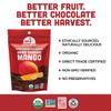 Mavuno Harvest Organic Chocolate Covered Mango - Organic Dried Mango Dipped in Dark Chocolate - Non GMO, Fair Trade, No Preservatives & Vegan Chocolate Treats - Healthy Chocolate Snacks - 1 lb Bag view 3