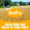 Avelina Gluten Free Granola Honey & Raisins - Healthy Oatmeal-Based Cereal - Kosher, Non-Gmo - (12.3 oz, 4-Pack) view 4