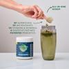 BIOHM Digestive Greens, Green Superfood Powder (7.4 Oz, 30 Servings) Immune & Gut Health Support with Antioxidants, Vitamins, Probiotics & Enzymes, Good Source of Fiber, Berry Flavor view 3