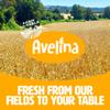 Avelina Gluten Free Granola Honey & Almonds - Healthy Oatmeal-Based Cereal - Kosher, Non-Gmo - (12.3 oz, 4-Pack) view 4
