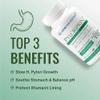 Approved Science Pyloriprin - Advanced Digestive Support for A Healthy Stomach - Zinc L-Carnosine, Probiotic, Broccoli Sprout, Deglycyrrhized Licorice - 360 Capsules - six Month Supply - Vegan view 2