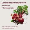 Snap Supplements Heart Beets Organic Beet Root Gummies, Cardiovascular Support Supplement for Men & Women, Pomegranate, Red Spinach, Heart Health & Circulation Support, Sugar Free, Cherry, 60 Gummies view 2