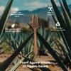 Sustainable Agave Co - Agave Fiber Forks - 500 Count - Plant-Based, Made With Upcycled Materials - Brown, Bulk view 2