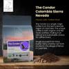 Diving Moose Coffee - The Condor Colombia Sierra Nevada USDA Organic Medium Light Roast (16oz / 1 LB) - Cocoa Cherry Strawberry Specialty Grade Small-Batch Roasted to Order Smooth Not Bitter view 3