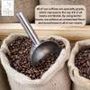 Diving Moose Coffee - The Condor Colombia Sierra Nevada USDA Organic Medium Light Roast (16oz / 1 LB) - Cocoa Cherry Strawberry Specialty Grade Small-Batch Roasted to Order Smooth Not Bitter view 4
