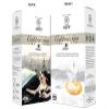 2 Packs - Instant Coffee Cappuccino Hazelnut Flavor - Cappuccino Hoa Tan Huong Vi Hazelnut - 12 Bags per Box with 2 Boxes per Order - Product of Vietnam view 2