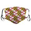 Reusable Cloth Face Masks with 2 Filters Maryland-Flag-Pride Washable Face Covering Small Black view 1