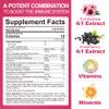 10 in 1 Immune Support Supplement Gummies, w/Echinacea, Elderberry Vitamin C and Zinc, Selenium, Vitamin D3 5000IU, Magnesium, Daily Immune Booster Multivitamin, for Antioxidant Bone Energy, 2 Pack view 2