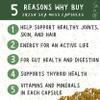 Organic Sea Moss, Bladderwrack, Burdock, & BioPerine - 1405mg with Black Pepper - Natural Wellness and Detox Support Supplement - 60 Capsules view 2