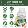 Organic Sea Moss, Bladderwrack, Burdock, & BioPerine - 1405mg with Black Pepper - Natural Wellness and Detox Support Supplement - 60 Capsules view 3