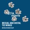 20PCS Orthodontic Metal Brackets Dental Brackets Standard MBT 0.022 Slot Bondable, 3-4-5 with Hook 20pcs/Pack, 1PK view 4