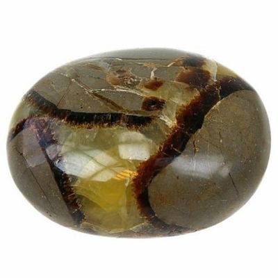 septarian galet Tumbled Stone Stone Object Mineral,35454