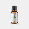 100% Pure Himalayan Eucalyptus Essential Oil | Organic Essential Oils For Diffuser & Shower | Pure and Organic Aromatherapy Oil - Home, Cars And Workspace By The Bodhi Press 10ML/0.33 FL OZ view 1