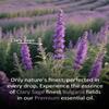 Airoomoil Clary Sage Essential Oil 4 fl oz, 100% Pure Clary Sage Oil with Herbal and Soft Floral Aroma for Diffuser Use, Aromatherapy Suitable for DIY Blends, Everyday Scent Experiences view 4
