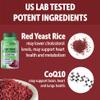 100% Natural Red Yeast Rice 1200 mg with CoQ10 100 mg, 2 in 1, Maintain Healthy Cholesterol Levels - 120 Veggie Capsules (2-Pack) view 2
