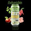 ANCIENT DRINKS Sekanjabin Apple Cider Vinegar Hydration Drink Organic Electrolyte ACV Beverage with Probiotics Ancient Persian Inspired Mint & Honey Vinegar Drink 16 oz Cans, 12 Pack view 2