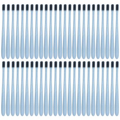 50Pcs Disposable Wheat Straw Soft Travel Toothbrushes with Tube - Portable Colorful Oral Care Toothbrushes for On The Go(Blue)