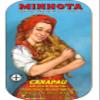 Conservas A MINHOTA - Gourmet Canned Horse Mackerel in Vegetable Oil (Portuguese Heritage) - 4.23oz / 120gr (Pack of 5 cans) view 1