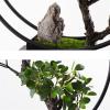 Artificial Bonsai Artificial Bonsai Tree New Chinese Round Iron Art Simulation Green Bonsai Tree Living Room Corridor Rockery Welcome Simulation Bonsai Plant for Home Office view 3