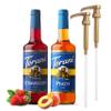 Coffee and Tea Syrup Variety Pack  Sugar Free Strawberry & Peach Syrups with 2 Syrup Pump Dispensers Compatible with 25.4 oz Syrup Bottles  Flavoring for Coffee, Soda, Frappes, Lattes view 1