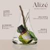 Aliz Aromatherapy Bergamot Essential Oil, USDA Organic, 100% Natural & Pure Essential Oils for Diffusers for Home, Aromatherapy Oils, Diffuser Oils Scents, Organic Essential Oils, 10ml-0.33fl oz view 3