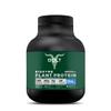 Bolt Biozyme Plant Protein | Vegan Protein with Superfood Phycocyanin and Ayurvedic Herbs | Complete Amino Acid Profile for Muscle Support and Recovery | 2Lb/32oz, 26 Servings | Madagascar Vanilla view 1
