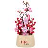 ABOOFAN Artificial Bonsai Plant Chinese New Year Bonsai with Red Berries Spring Festival Red Bonsai Tree Feng Shui Money Tree Tree for Wealth and Good Luck Chinese New Year Decoration view 1