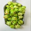 Green Apple Popcorn view 1