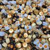 Yummy Chew ReesesPeanut Butter Cups - Bulk ReesesMiniature Cups Assortment - Individually Wrapped Assorted Chocolate Peanut Butter Cups Candy - Bulk Candy Party Bag - 150 Pieces view 2