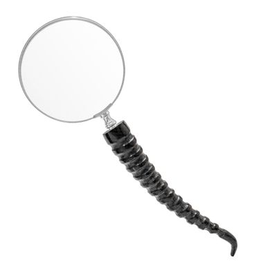 10X Brass Magnifying Glass with Groovy Horn Handle | Gifts for Boys Girls Dad Mom Seniors, Anniversary Birthday, Halloween Dcor - A.A.Nauticals - A.A.Nauticals