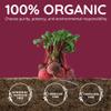 Organic Beet Root Capsules [1,300mg Superfood]  Blood Pressure Support, Nitric Oxide Supplements for Men & Women, Flow & Circulation | Beetroot Powder, Antioxidant, Brain Food | Vegan, 60 Ct view 3