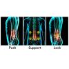 ALKANI Decompression Back Pain Lower Lumbar Support for with Cushion Pad Back Belt Adjustable Spinal Waist Back Air Massage Belt for Lower Back Pain Relief Back Support Massage Belt view 4
