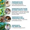 14-in-1 Lions Mane Supplement Capsules - Nootropic Brain Supplement with Ginkgo Biloba for Brain Support, Memory and Focus - Alpha GPC, L Theanine & Choline Supplements with 1300mg Per Serving (60 ct) view 3