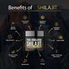 Shilajit Pure Himalayan Organic Resin - Natural Authentic Lab Tested Formula for Men, Women - No Heavy Metals - 600mg Max Strength with 85+ Trace Minerals Golden Grade Shilajit Supplement (1 Pack) view 2