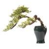 Artificial Bonsai Bonsai Tree Large Chinese Artificial Bonsai Tree Living Room Office Desktop Decoration Fake Bonsai Fake Tree Home Decoration Plant Potted with Ceramic Flowerpot for Home Office view 1