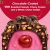 Big Cherry Candy Bars, Pack of 6 - Whole Real Cherry Coated with Chocolate and Topped with Chopped Roasted Peanuts - Individually Wrapped Nostalgic/Retro Candy - Kosher Certified Delicious Candies view 3