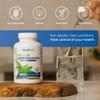 Natural Cure Labs Premium Andrographis Paniculata Extract 1,200mg (100mg Andrographolides), 120 Capsules, Non-GMO, Vegan, Gluten Free view 3