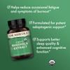 Dr. Mercola Rhodiola Extract, 30 Servings (30 Capsules), Dietary Supplement, Supports Mood and Stress Management, Non-GMO, Certified USDA Organic view 4