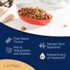 Eastanbul Apricot Seeds, 14.5oz, Apricot Kernels, Raw & Bitter Seeds, 100% Natural Farm Fresh Premium Bitter Kernels, Almondy from Turkey, Vegan, Gluten Free, Non GMO view 3