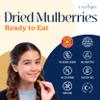 Eastanbul Mulberry, Dried Mulberries, 14.5oz, Sun Dried White, Natural, Unsweetened, Non-GMO, Gluten Free, Vegan, Wholesome Fresh Berries, from Turkey view 3