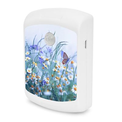 Talking Products, PIR Motion Activated Sound Box with 4 Minutes of Pre-Recorded Relaxing Nature Sounds, Birdsongs, and Calming Music. Sound Therapy and Sleeping Aid (Relaxing Music)