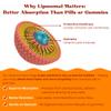 Vitaminally Womens 50+ Liposomal Liquid Multivitamin  16 Essential Vitamins & Minerals for Energy, Bone & Immune Support  Sugar-Free, Non-GMO, High Absorption  Strawberry Mint, 30 Servings view 4