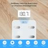 NextLevel Fit Pro White Smart Scale Combo: Body Fat and Calorie Food Scale for Accurate Health Tracking, Syncs with Fitness App, Compatible with Apple Health and Google Fit view 2