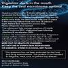 Biotyks Pre-Digestive Probiotics view 3
