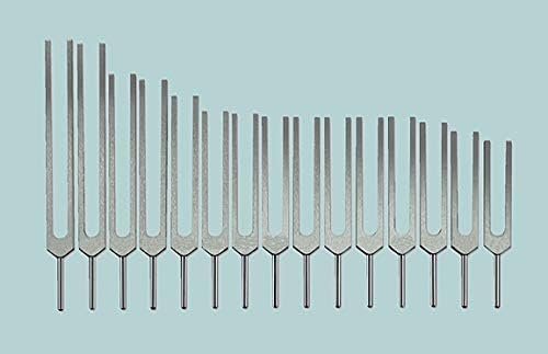 Cosmid Human Organ Tuning Fork Set