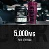 Jacked Factory Creatine Monohydrate Powder 1000g - 5g Daily Creatine Supplement for Men and Women, Vegan-Friendly, Third-Party Tested - 200 Servings, Unflavored view 4