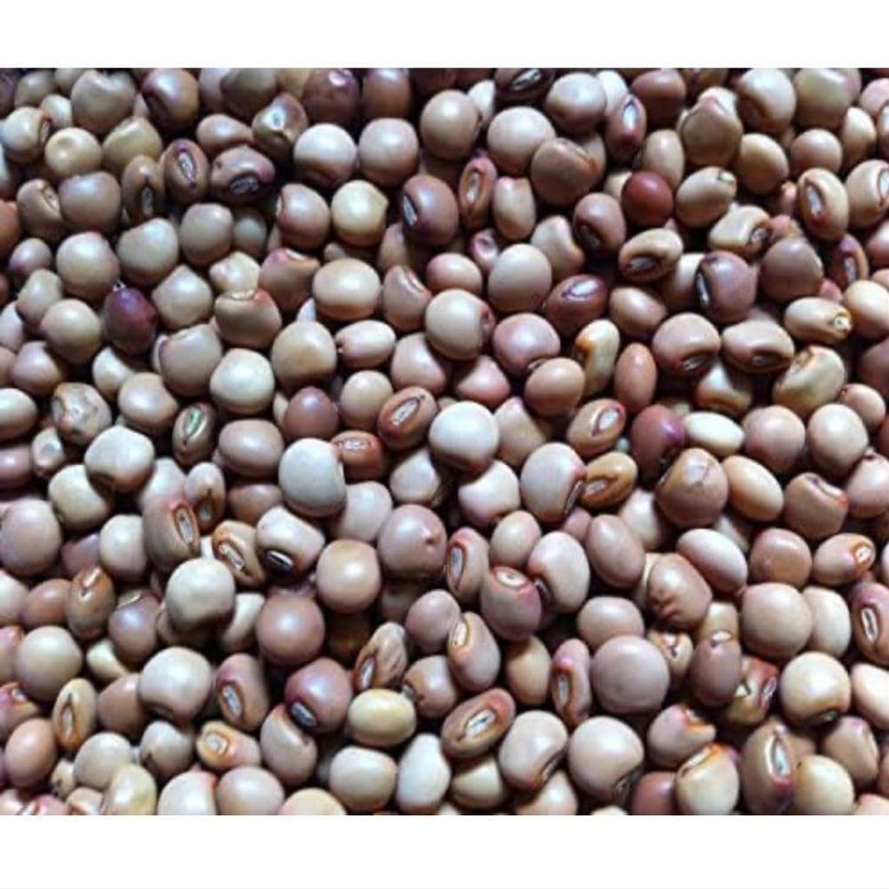 Fio Fio Beans/Pigeon Pea/Gandules/Jamaica Gungo